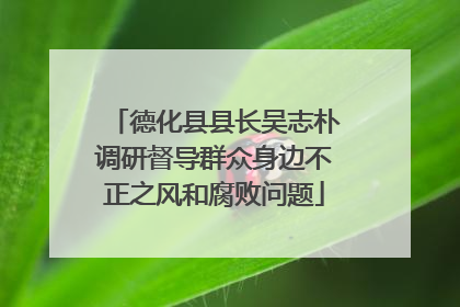 德化县县长吴志朴调研督导群众身边不正之风和腐败问题